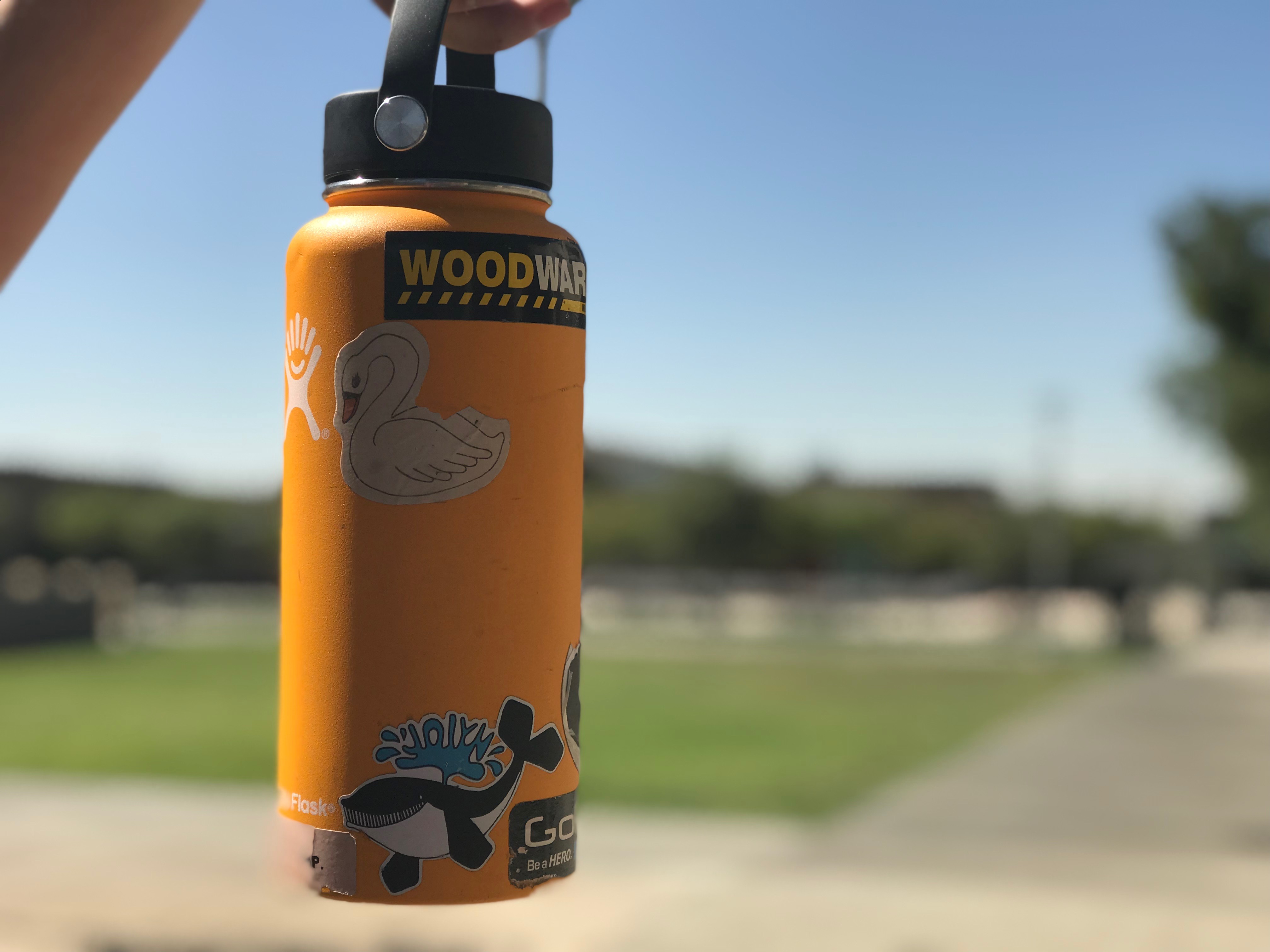 decorated white hydro flask